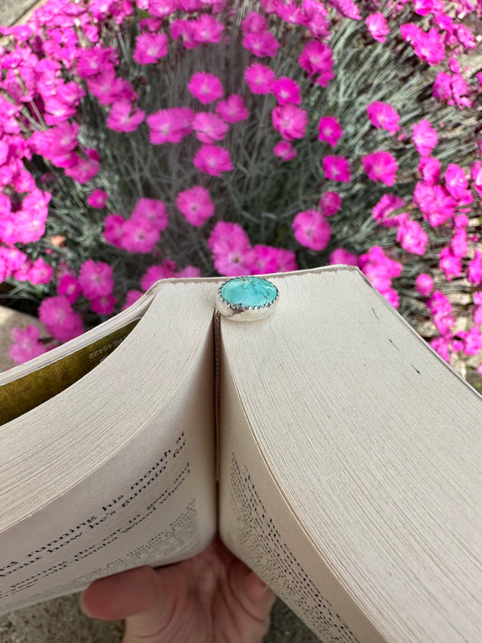 Ol’ Willie Turquoise Bookmark